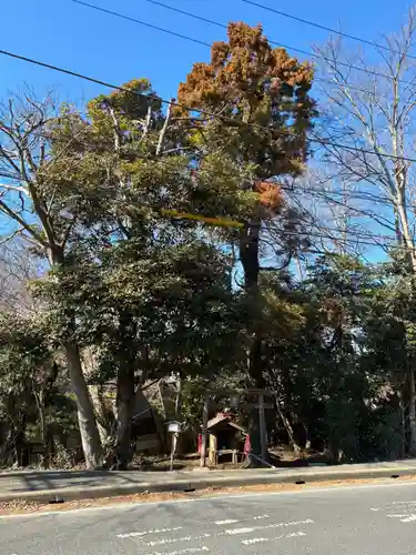 弁財天(千葉県)