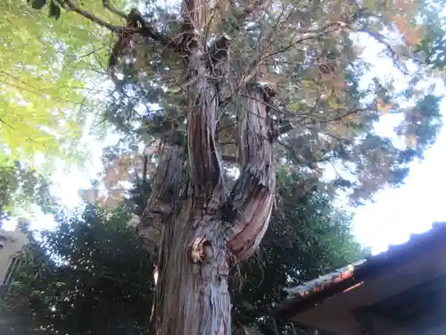 御嶽神社(東京都)