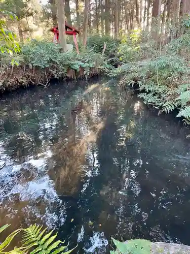 白髭神社(栃木県)