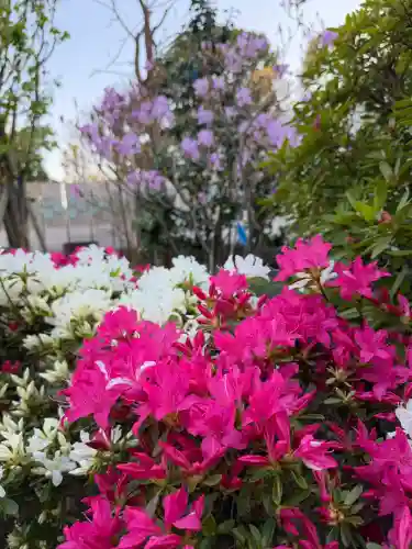 川崎大師（平間寺）の{uncategorized: "未分類", other: "その他", undefined: "問題あり", building: "その他建物", grave: "お墓", sacred_gate: "鳥居", guardian: "狛犬", statue: "像", buddha: "仏像", history: "歴史", nature: "自然", garden: "庭園", animal: "動物", pagoda: "塔", temizu: "手水舎", mountain_gate: "山門・神門", sanctuary: "本殿・本堂", subordinate: "末社・摂社", art: "芸術", scenery: "景色", jizo: "地蔵", ema: "絵馬", goshuin: "御朱印", omikuji: "おみくじ", items: "授与品その他", amulet: "お守り", goshuincho: "御朱印帳", eats: "食事", festival: "お祭り", votive_dance: "神楽", shichigosan: "七五三参", wedding: "結婚式", experience: "体験その他", initially: "初詣", around: "周辺", anti_infection: "感染症対策"}