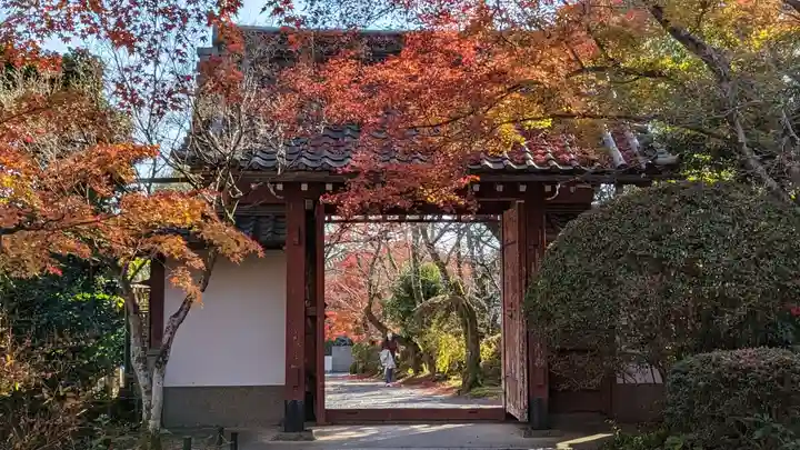 常照寺(京都府)