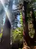 乳穂ヶ滝不動尊の{uncategorized: "未分類", other: "その他", undefined: "問題あり", building: "その他建物", grave: "お墓", sacred_gate: "鳥居", guardian: "狛犬", statue: "像", buddha: "仏像", history: "歴史", nature: "自然", garden: "庭園", animal: "動物", pagoda: "塔", temizu: "手水舎", mountain_gate: "山門・神門", sanctuary: "本殿・本堂", subordinate: "末社・摂社", art: "芸術", scenery: "景色", jizo: "地蔵", ema: "絵馬", goshuin: "御朱印", omikuji: "おみくじ", items: "授与品その他", amulet: "お守り", goshuincho: "御朱印帳", eats: "食事", festival: "お祭り", votive_dance: "神楽", shichigosan: "七五三参", wedding: "結婚式", experience: "体験その他", initially: "初詣", around: "周辺", anti_infection: "感染症対策"}