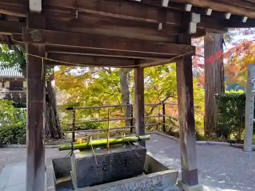 善峯寺(京都府)