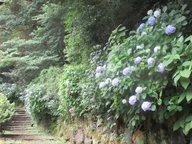 安國論寺(安国論寺)の景色