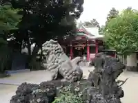 柏諏訪神社の狛犬