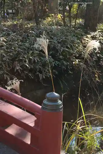 鶴岡八幡宮の庭園