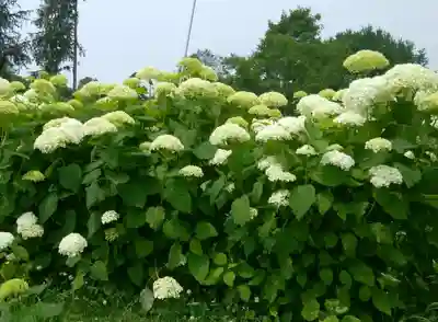 有珠善光寺(北海道)