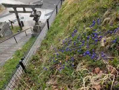 王子神社の{uncategorized: "未分類", other: "その他", undefined: "問題あり", building: "その他建物", grave: "お墓", sacred_gate: "鳥居", guardian: "狛犬", statue: "像", buddha: "仏像", history: "歴史", nature: "自然", garden: "庭園", animal: "動物", pagoda: "塔", temizu: "手水舎", mountain_gate: "山門・神門", sanctuary: "本殿・本堂", subordinate: "末社・摂社", art: "芸術", scenery: "景色", jizo: "地蔵", ema: "絵馬", goshuin: "御朱印", omikuji: "おみくじ", items: "授与品その他", amulet: "お守り", goshuincho: "御朱印帳", eats: "食事", festival: "お祭り", votive_dance: "神楽", shichigosan: "七五三参", wedding: "結婚式", experience: "体験その他", initially: "初詣", around: "周辺", anti_infection: "感染症対策"}