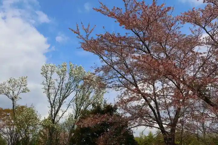 大鏑神社の自然