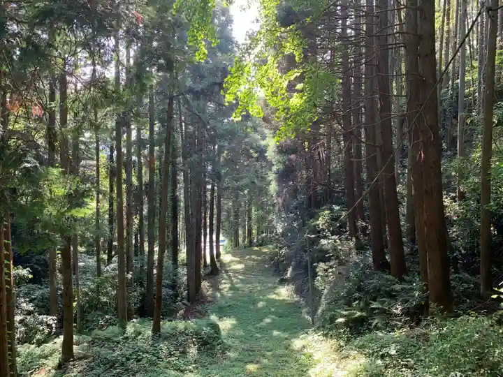 熊野神社の自然