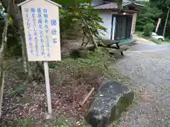 高蔵寺の歴史