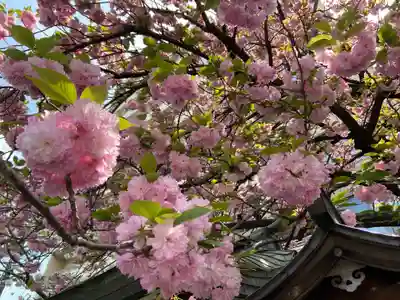 白龍神社(愛知県)