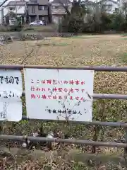 青龍神社の庭園