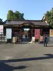 大杉神社(茨城県)