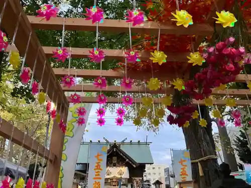 札幌諏訪神社の七五三参