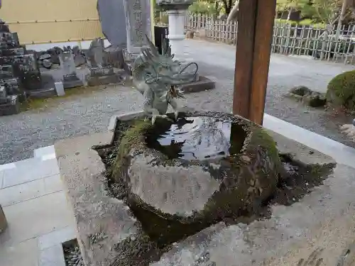 誓願寺の手水舎