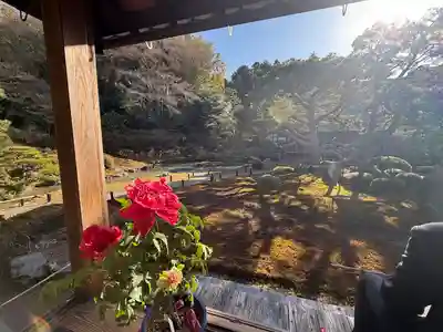 青蓮院門跡(京都府)