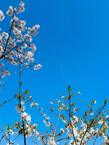 福井神社(福井県)