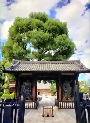 宝仙寺(東京都)