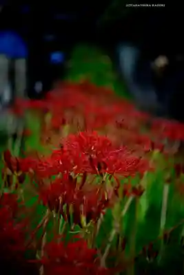 横浜　西方寺(神奈川県)