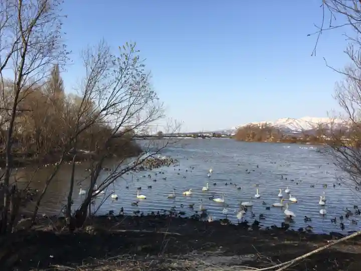 金比羅神社の景色