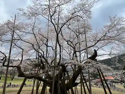 淡墨観音(岐阜県)