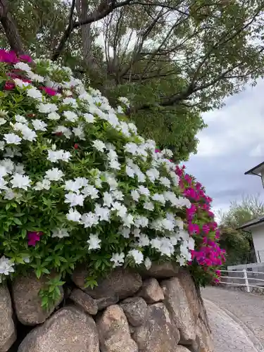 森・深江・青木 総氏神　稲荷神社の自然