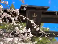 山家神社の自然