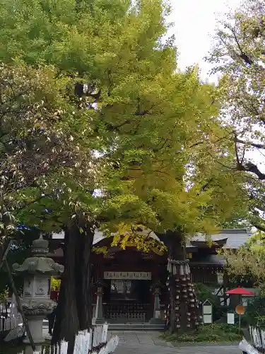 素盞雄神社(東京都)