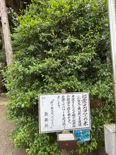 息栖神社の歴史