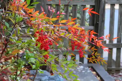 開成山大神宮の庭園