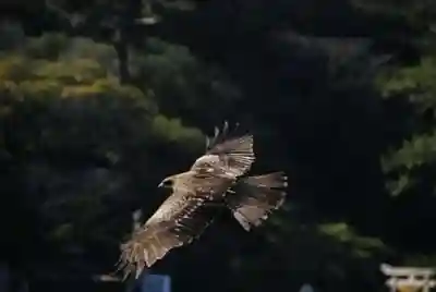 恵比須神社(山口県)