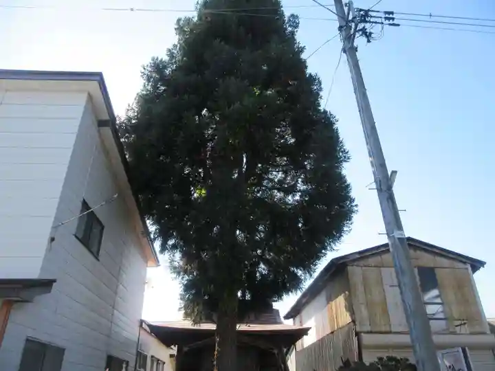 座頭稲荷(山形県)