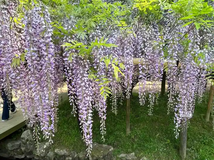 歌泉堂(春日大社神苑萬葉植物園内鎮座)(奈良県)