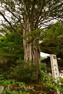 松原山 明善寺(岐阜県)