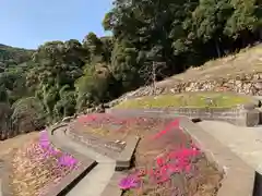 普門寺(切り絵御朱印発祥の寺)(愛知県)