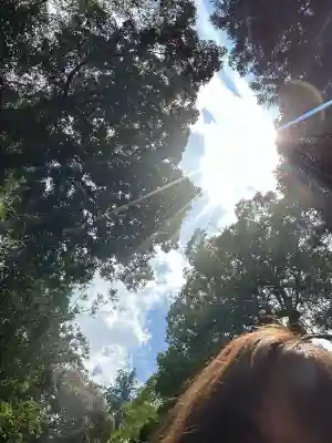 伊勢神宮内宮（皇大神宮）(三重県)