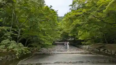 二尊院(京都府)