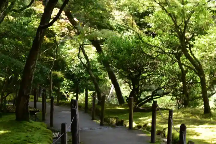 慈照寺(慈照禅寺・銀閣寺)の自然