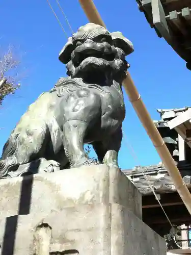 下総野田愛宕神社の狛犬