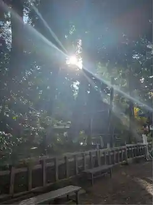 鹿島神宮(茨城県)