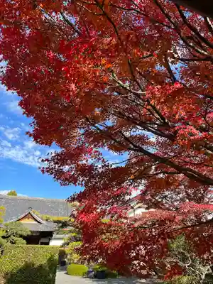 神光院(京都府)