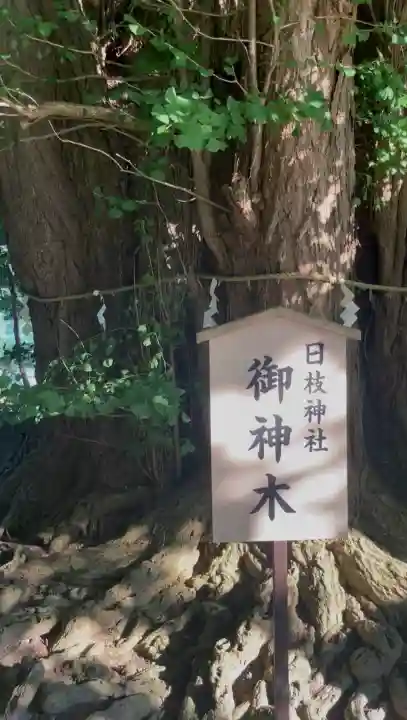 山寺日枝神社(山形県)