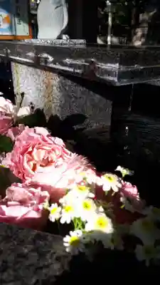 新琴似神社の手水舎