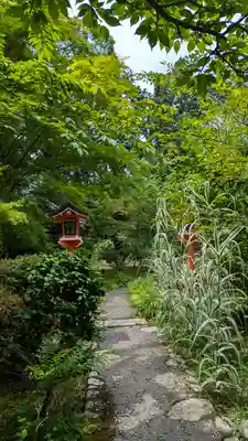十輪寺(京都府)