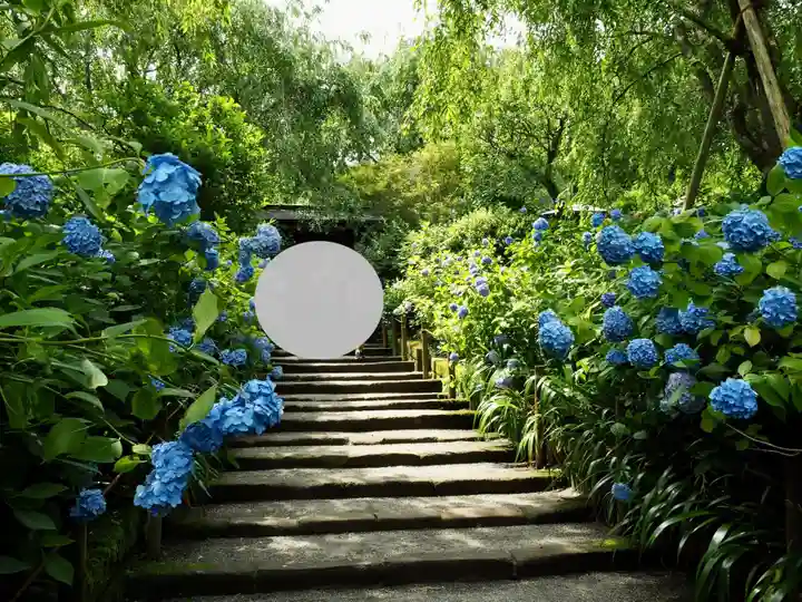 明月院(神奈川県)