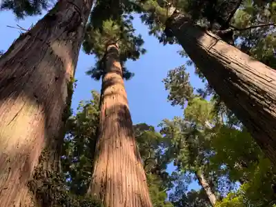 三島神社の自然