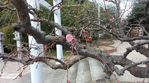 比佐豆知神社(三重県)
