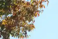 国宝 大法寺(長野県)