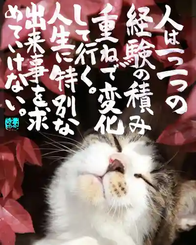 専念寺(大阪府)